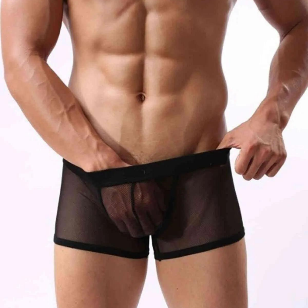 Bouquet Bouqtique Fantezi Transparan Tül Erkek Boxer Fantezi Tanga BQT354603